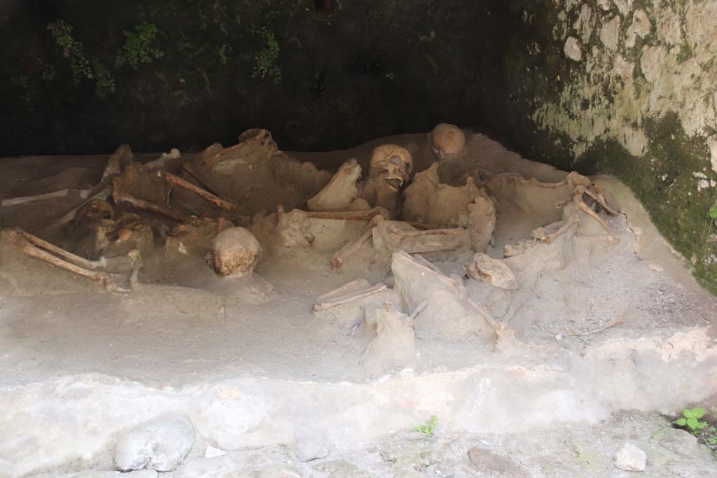 Beachfront, Herculaneum, September 2017. Boatshed 1, detail of some of the skeletons of fugitives.
Photo courtesy of Klaus Heese.